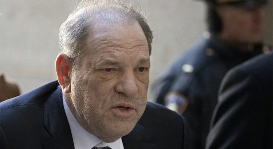 Harvey Weinstein engage l'avocat de Bill Cosby pour faire appel de la condamnation de Los Angeles Les plus populaires doivent être lus Inscrivez-vous aux newsletters Variety Plus de nos marques