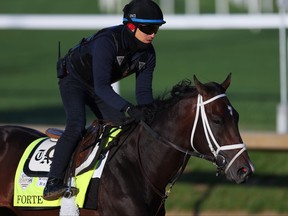 Forte s'entraîne sur la piste pendant les entraînements du matin pour la 149e édition du Kentucky Derby à Churchill Downs le 5 mai 2023 à Louisville, Ky.