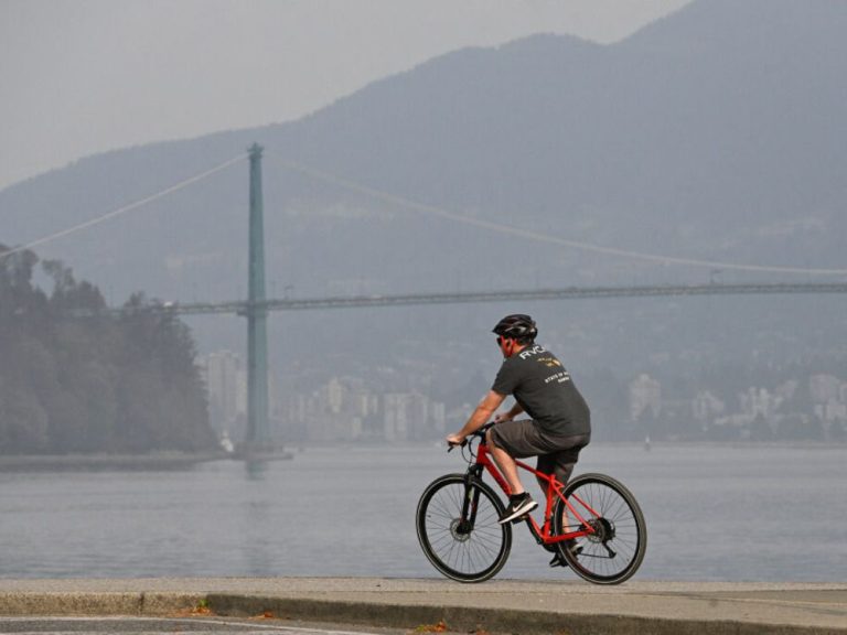 La police de l’Ontario recherche un véhicule impliqué dans une collision qui a causé la mort d’un cycliste de 81 ans