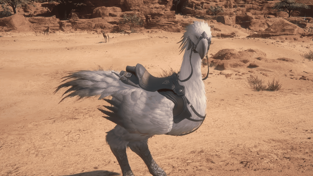 Les chocobos sont appelés 