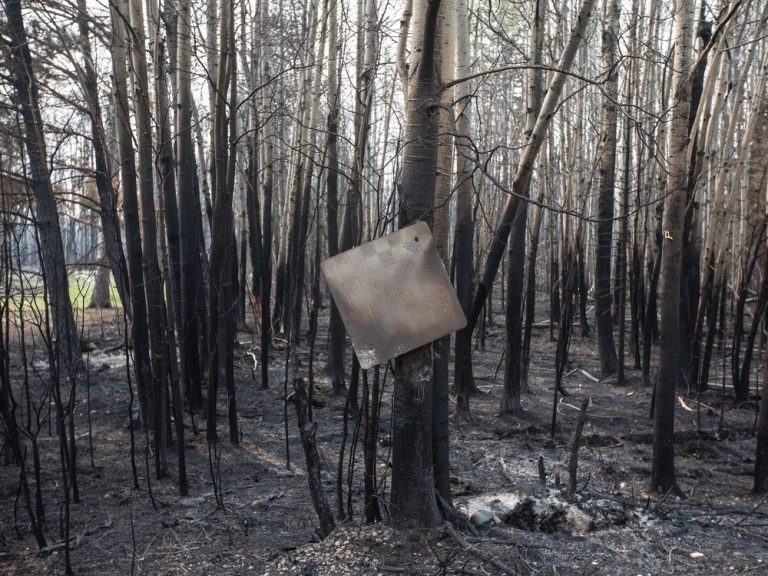 Les conditions de séchage reviennent en Alberta, les équipes constatent une activité de feu plus intense