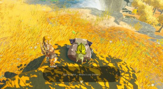 Les joueurs de Tears of the Kingdom soumettent un pauvre Korok à leurs engins loufoques