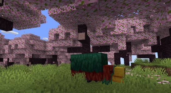 Minecraft Version 1.20 "Trails & Tales" obtient une nouvelle vidéo sur le biome Sniffer & Cherry Blossom