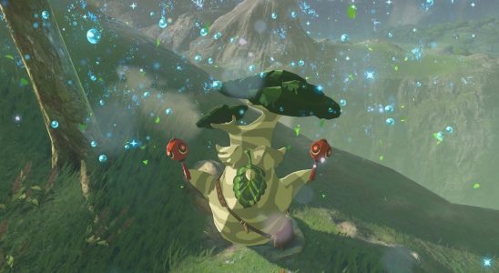 PSA: Voici combien de graines de Korok sont dans Tears of the Kingdom