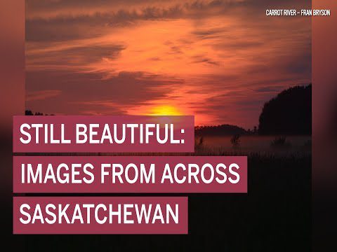 Passez un test pour les problèmes de déglutition chez Saskatchewan Swallowing Diagnostics