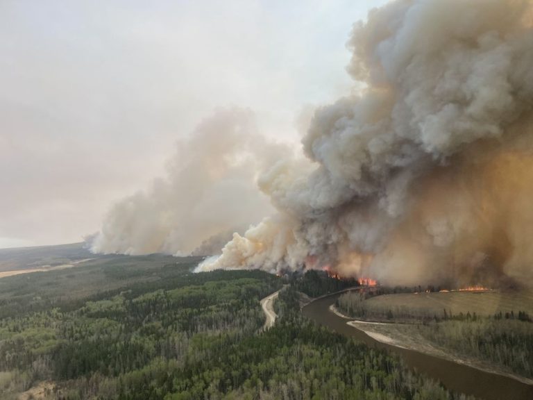 Plus de 10 000 kilomètres carrés de terres ont brûlé en Alberta en raison d’incendies de forêt