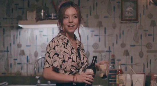 Sydney Sweeney in Big Time Adolescence.