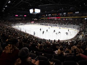 Les fans regardent les Coyotes de l'Arizona et les Jets de Winnipeg lors d'un match au Mullett Arena de Tempe, en Arizona, le vendredi 28 octobre 2022.