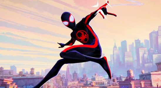 Spider-Man: Across the Spider-Verse révèle des affiches de personnages pour The Spot, Spider-Cat et plus