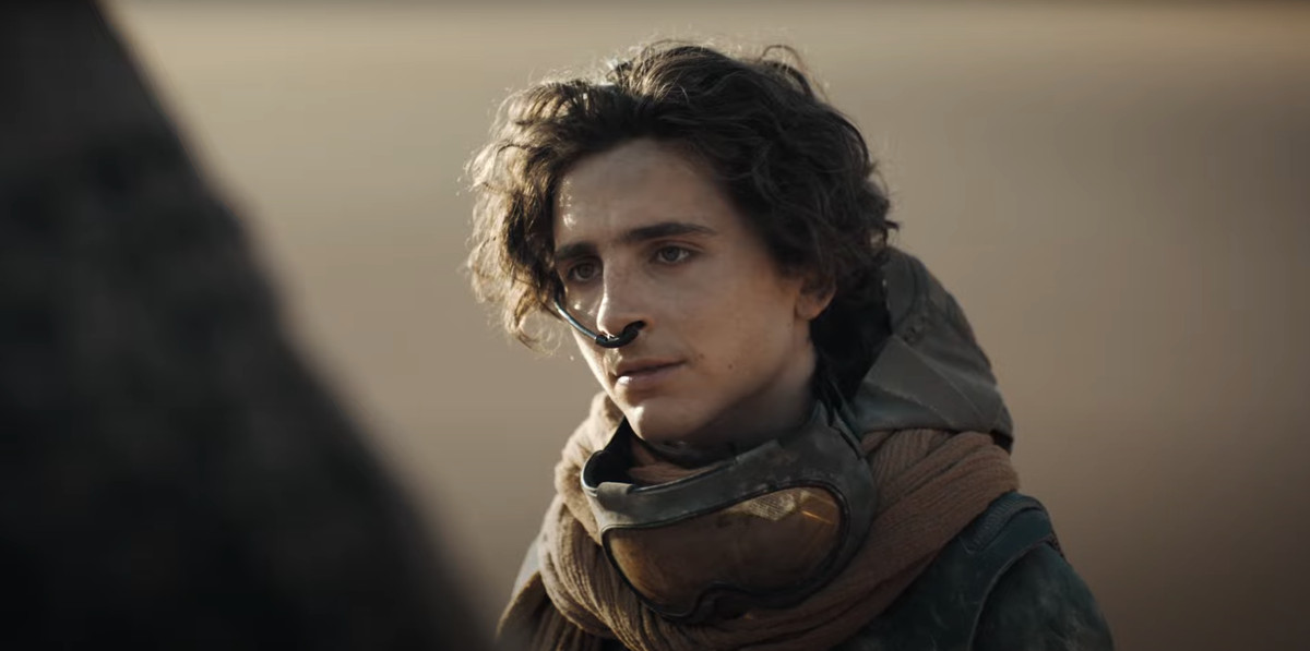 Timothée Chalamet dans le rôle de Paul Atreides dans Dune 2, debout dans un désert en stillsuit