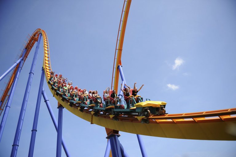 Un oiseau « explose » partout dans les montagnes russes du Canada’s Wonderland