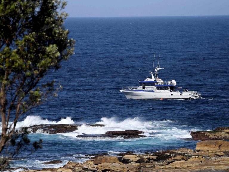 Un surfeur craint d’être tué dans une attaque de requin au large de la côte sud de l’Australie