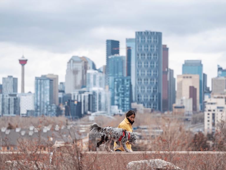 Une entreprise américaine vante la vente d’une tour d’appartements à Calgary aux investisseurs comme un pari sur le marché canadien de l’habitation serré