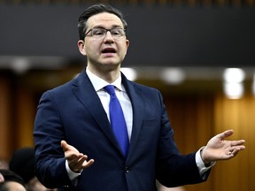 Pierre Poilievre.