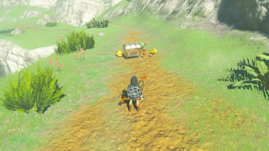 Zelda: Tears Of The Kingdom: Comment cultiver des flèches 6