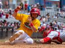 Ryan Lidge des Chicago Dogs glisse autour de l'étiquette du receveur des Goldeyes de Winnipeg Jackson Smith lors de la sixième manche du match de l'Association américaine de mercredi entre les deux clubs.