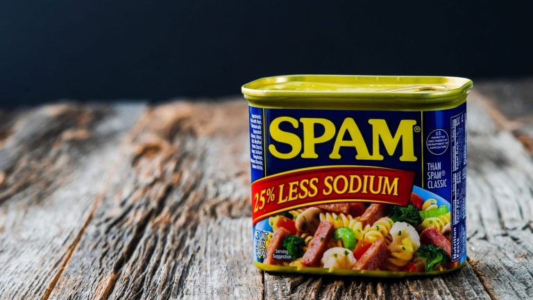 Qu’est-ce que le spam ?  – LifeSavvy