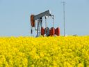 Un chevalet de pompage d'huile est vu dans un champ de canola au nord de Camrose, en Alberta.