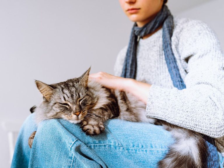 « Une fille de notre école a décidé qu’elle s’identifiait à un chat »