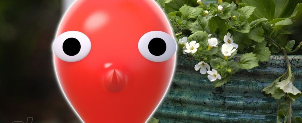 Cette fois, Nintendo a joué à Dieu pour vendre des Pikmin aux jardiniers