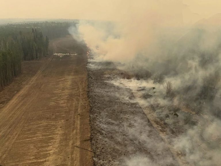 Terence Corcoran: Le syllogisme des feux de forêt qui ne correspond tout simplement pas