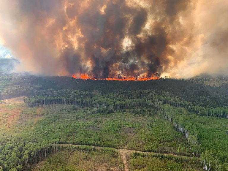 Comment la dévastation des incendies de forêt se répercute sur l’ensemble de l’économie