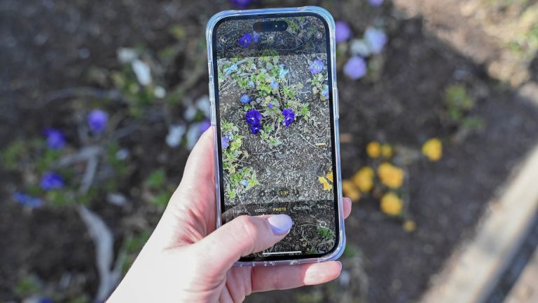 Pourquoi devriez-vous prendre des photos d’iPhone à l’envers ?