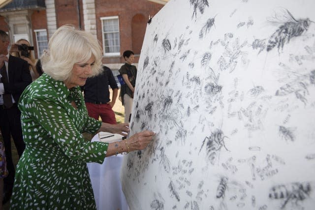 Camilla efface une abeille du dessin