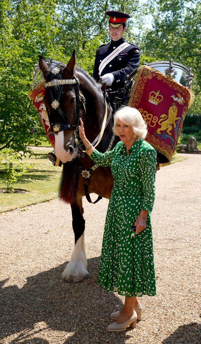 Nomination royale du nouveau cheval de tambour de Household Cavalry