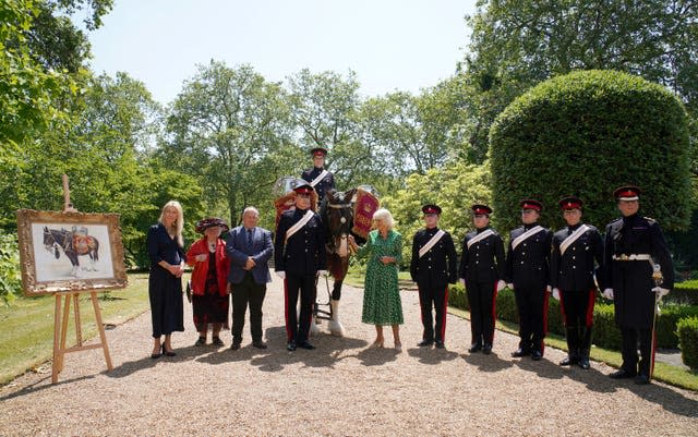 Nomination royale du nouveau cheval de tambour de Household Cavalry