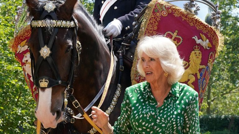 La reine nomme un cheval pour diriger la cavalerie lors de la parade d’anniversaire du roi