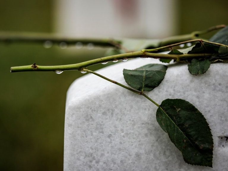 Un accord provisoire a été conclu pour mettre fin à une longue grève qui a fermé le plus grand cimetière du Canada