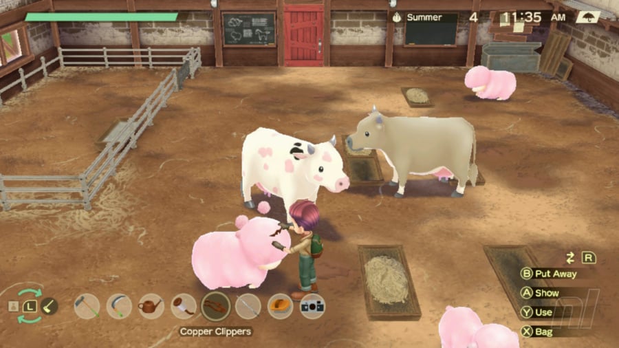 Story of Seasons: A Wonderful Life Review - Capture d'écran 5 sur 6