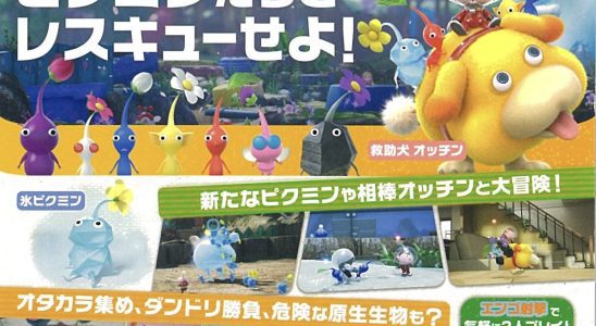 Pikmin 4 propose un mode multijoueur en écran partagé et bien plus encore, réalisé avec Unreal Engine