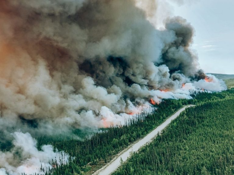 Le ministère de la Sécurité publique prévient que les incendies de forêt au Québec pourraient s’aggraver