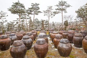 Jangdokdae à l'usine Gothrak Doenjang à Iksan-si, Jeollabuk-do