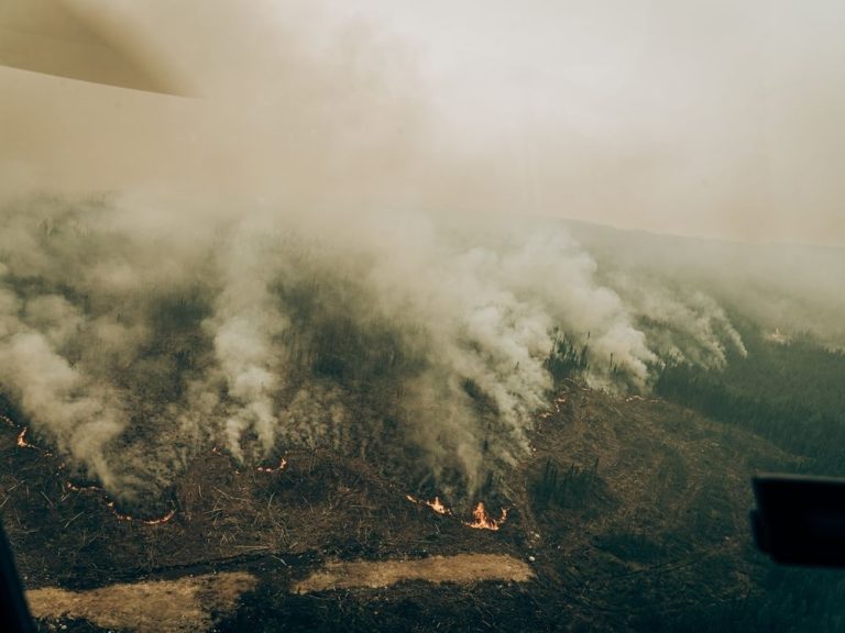 La NASA dit que la fumée des incendies au Québec couvre des parties du sud-ouest de l’Europe