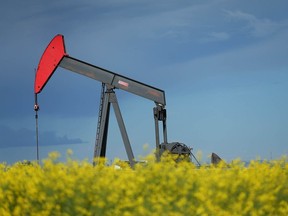 Un pumpjack est vu entouré de canola à la limite est de Calgary.