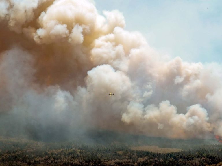 Des pompiers des États-Unis et d’Afrique du Sud combattent les incendies « sans précédent » au Canada