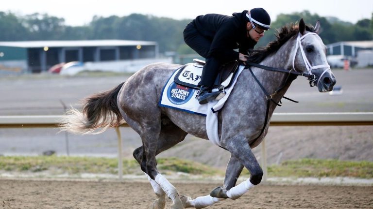 Diffusion en direct de Belmont Stakes 2023: comment regarder en ligne, le temps de course, les chevaux et les cotes