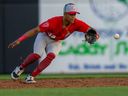 Le joueur de deuxième but des Winnipeg Goldeyes, Jace Mercer, garde les yeux sur le ballon lors du match de son équipe contre les Dogs de Chicago à Rosemont, Illinois, le 1er juin 2023.