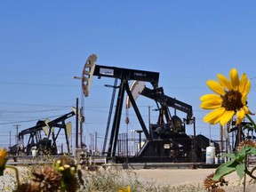 Des fleurs sauvages fleurissent près de pompes à pétrole le long d'une autoroute en Californie.