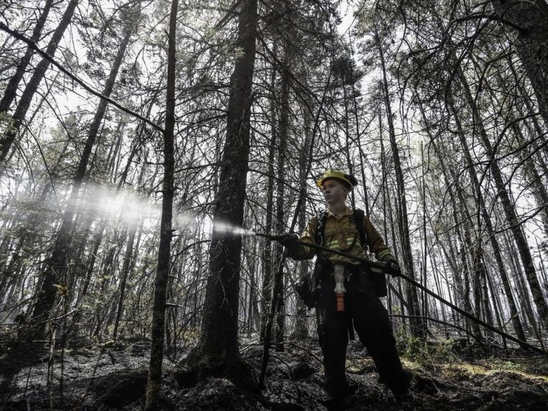 Le risque de feux de forêt demeure bien au-dessus de la moyenne au Canada ce mois-ci