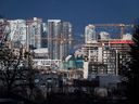 Les grues de construction dominent les condos en construction.  Les entreprises de construction canadiennes affirment qu'une pénurie chronique de main-d'œuvre qualifiée a une incidence sur leur capacité à soumissionner pour des projets et à respecter les délais des projets dans un contexte de demande sans précédent.