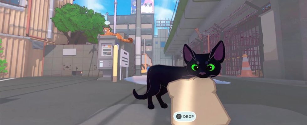 Little Kitty, Big City ajoute les versions Xbox Series et Xbox One