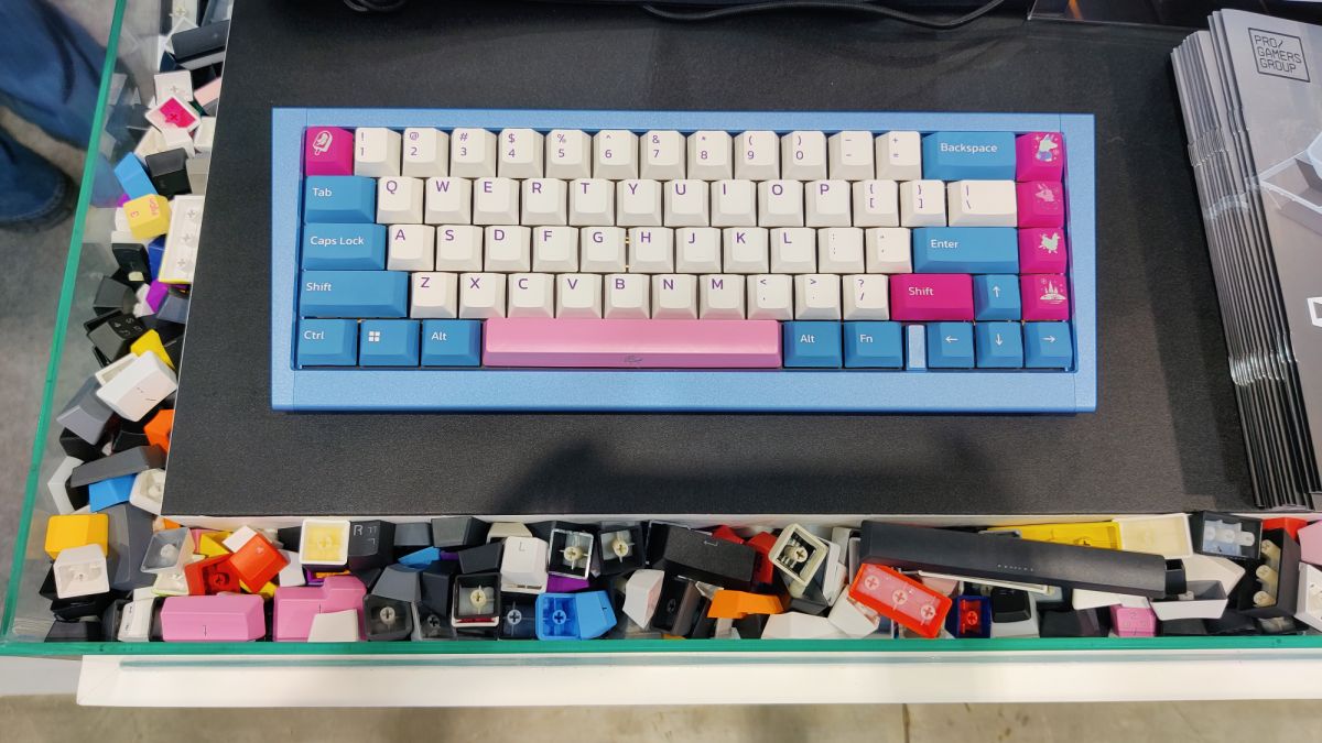 The Ducky ProjectD outlaw in blue and pink