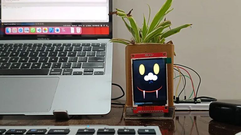 Raspberry Pi Pico W donne à vos plantes des émotions avec des animations de visage