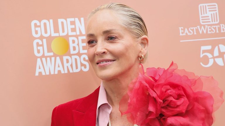 Sharon Stone discute des défis liés à l'obtention d'un emploi depuis son accident vasculaire cérébral et s'insurge contre "Anti-Woke Bullsh **" lors de l'événement Raising Our Voices de THR
