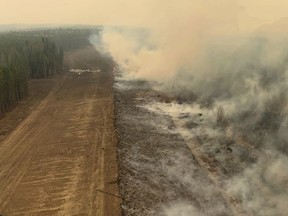 Une section de forêt brûlée dans la région près d'Edson, en Alberta.