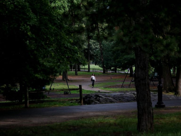 Un homme poignarde à mort un pit-bull dans Central Park à New York après une dispute entre des promeneurs de chiens